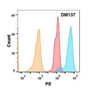 5T4 protein is highly expressed on the surface of Expi293 cell membrane