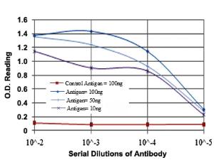 Anti-ADRBK1 Mouse Monoclonal Antibody [clone: 3F8]