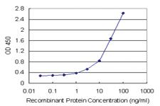 Anti-ITFG2 Antibody Pair