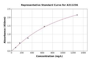 Representative standard curve for Human SLBP ELISA kit (A311236)