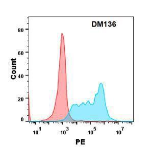 Flow cytometry analysis with Anti-CD34 Antibody [DM136] - Azide free (A318571) on Expi293 cells transfected with human CD34 (blue histogram) or Expi293 transfected with irrelevant protein (red histogram)