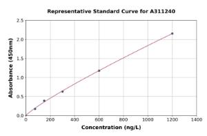 Representative standard curve for Mouse LTA ELISA kit (A311240)