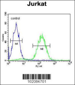 Anti-MAGEA3 Rabbit Polyclonal Antibody (AP (Alkaline Phosphatase))