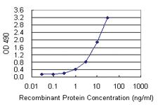 Anti-KIT Mouse Monoclonal Antibody (Biotin)