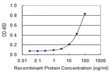 Anti-IGF2BP2 Mouse Monoclonal Antibody [clone: 4C6]