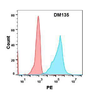 Flow cytometry analysis with Anti-CD34 Antibody [DM135] - Azide free (A318572) on Expi293 cells transfected with human CD34 (blue histogram) or Expi293 transfected with irrelevant protein (red histogram)