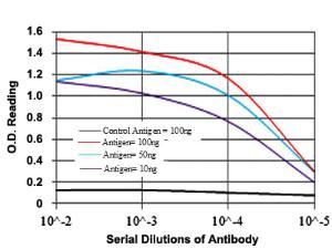 Anti-COTL1 Mouse Monoclonal Antibody [clone: 5C8]