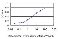 Anti-DUSP6 Mouse Monoclonal Antibody [clone: 3G2]