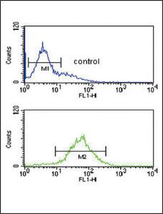 Anti-SRD5A3 Rabbit Polyclonal Antibody (PE (Phycoerythrin))