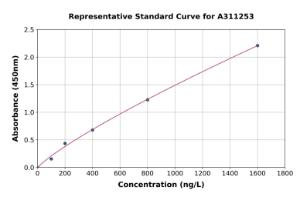 Representative standard curve for Human WNK2 ELISA kit (A311253)