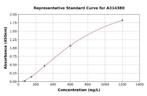 Representative standard curve for mouse Snrnp70 ELISA kit (A314380)