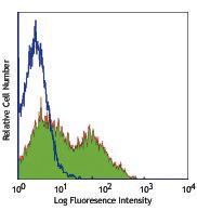 Anti-SELL Rat Monoclonal Antibody