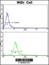 Anti-CTDP1 Rabbit Polyclonal Antibody (APC (Allophycocyanin))