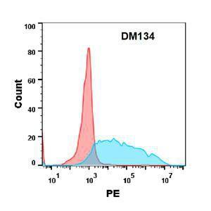 Flow cytometry analysis with Anti-CD34 Antibody [DM134] - Azide free (A318573) on Expi293 cells transfected with human CD34 (blue histogram) or Expi293 transfected with irrelevant protein (red histogram)