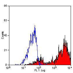 Anti-CD68 Rat Monoclonal Antibody [clone: 10B1906]