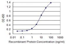 Anti-VAMP5 Mouse Monoclonal Antibody [clone: 3D4]