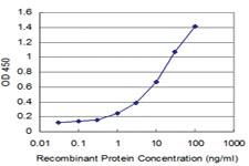 Anti-HOXA5 Mouse Monoclonal Antibody [clone: 4A8]