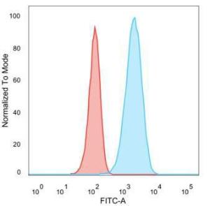 Flow cytometric analysis of trypsinized PFA fixed MCF-7 cells using Anti-HER2 Antibody [HRB2/282] followed by Goat Anti-Mouse IgG (CFand#174; 488) (Blue). Isotype Control (Red)