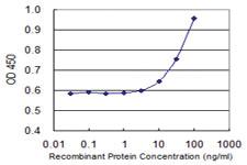 Anti-CEACAM1 Mouse Monoclonal Antibody [clone: 2F6]