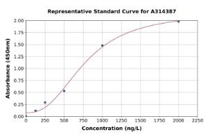 Representative standard curve for human DDB2 ELISA kit (A314387)