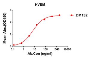 Antibody A318575-500