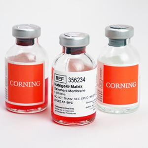 Matrice Corning® Matrigel®, sans rouge de phénol