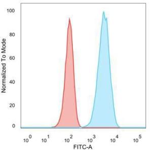 Flow cytometric analysis of human trypsinized MCF-7 cells using Anti-HER2 Antibody [ERB2/776] followed by Goat Anti-Mouse IgG (CF&#174; 488) (Blue). Isotype Control (Red).