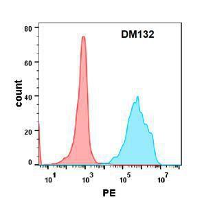 Antibody A318575-500