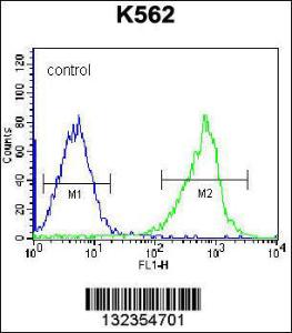 Anti-GSTM5 Rabbit Polyclonal Antibody (APC (Allophycocyanin))