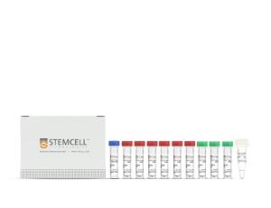 ArciTect™ High-Fidelity DNA Polymerase kit