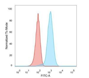 Flow cytometric analysis of PFA fixed MCF-7 cells using Anti-HER2 Antibody [ZR5] followed by Goat Anti-Rabbit IgG (CF&#174; 488) (Red). Isotype Control (Blue).