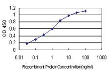 Anti-BID Mouse Monoclonal Antibody [clone: 3F3-1A3]