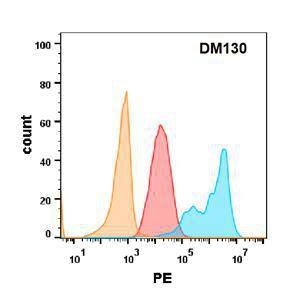 Anti-EGFR Rabbit Recombinant Antibody [clone: DM130]