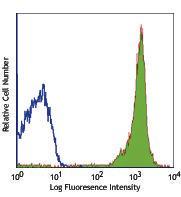 Anti-CD90.2 Rat Monoclonal Antibody [clone: 30-H12]