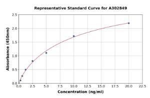 Representative standard curve for Human beta 1 Adrenergic Receptor ELISA kit (A302849)