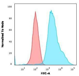 Flow cytometric analysis of HeLa cells using Anti-pan Cytokeratin Antibody [PCK/3150] followed by Goat Anti-Mouse IgG (CF and #174; 488) (Blue). Isotype Control (Red)