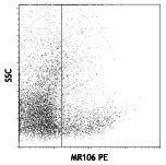 Anti-VCAM1 Mouse Monoclonal Antibody