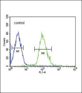 Anti-TUBB3 Rabbit Polyclonal Antibody (HRP (Horseradish Peroxidase))