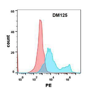 Flow cytometry analysis with Anti-IL-17RA Receptor Antibody [DM125] - Azide free (A318582) on Expi293 cells transfected with human IL17RA (blue histogram) or Expi293 transfected with irrelevant protein (red histogram)