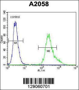 Anti-UBXN2A Rabbit Polyclonal Antibody