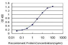 Anti-E2F4 Mouse Monoclonal Antibody [clone: 5B7]