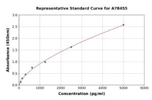 Representative standard curve for Rat MMP8 ELISA kit (A78455)