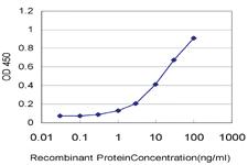 Anti-PDIA4 Mouse Monoclonal Antibody [clone: 4C6]