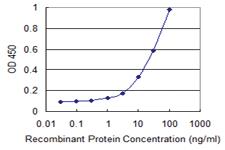 Anti-ARNT2 Mouse Monoclonal Antibody [clone: 1B2]