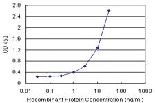 Anti-CTNNA3 Polyclonal Antibody Pair