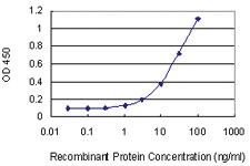 Anti-FAIM2 Mouse Monoclonal Antibody [clone: 2C2]