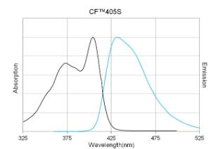 Anti-IgG Goat Polyclonal Antibody (CF™ 405S)