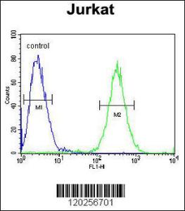 Anti-ST3GAL5 Rabbit Polyclonal Antibody (AP (Alkaline Phosphatase))