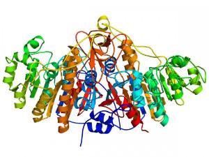 Alkaline phosphatase 11900