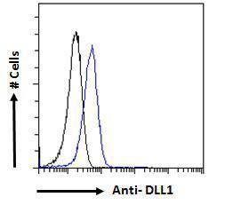 Anti-DLL1 Antibody (A84659) - Flow cytometric analysis of paraformaldehyde fixed HeLa cells (blue line), permeabilized with 0.5% Triton. Primary incubation 1hr (10µg/ml) followed by Alexa Fluor 488 secondary antibody (1µg/ml).